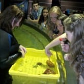 cleveland aquarium after prom interactive exhibits