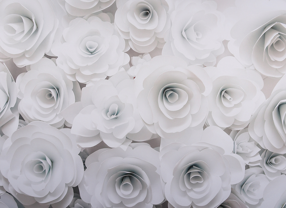 RTH Photo Booth Backdrops - 3D White Flowers