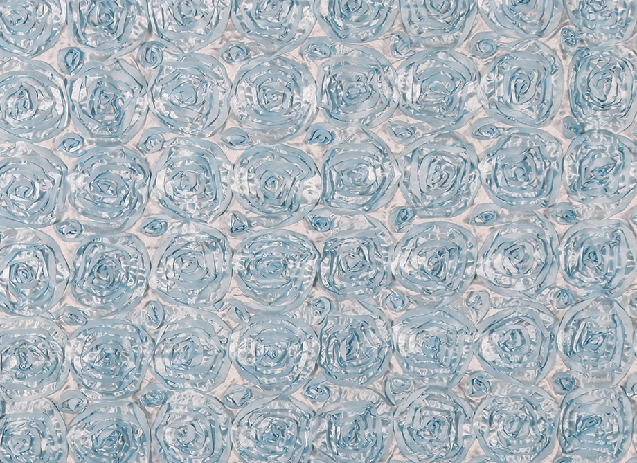 RTH Photo Booth Backdrops - Blue Rosette