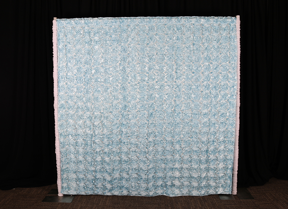 RTH Photo Booth Backdrops - Blue Rosette