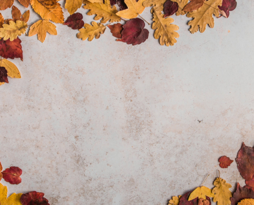 photo booth background design options autumn 007