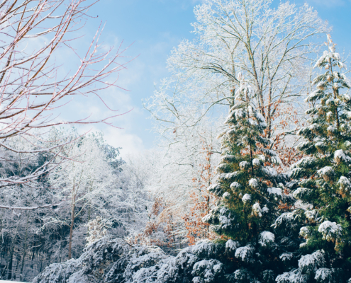 photo booth background design options christmas 004