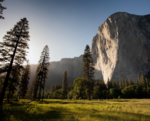 photo booth background design options nature 028