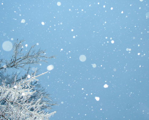 photo booth background design options winter 005