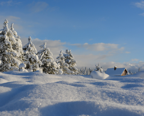 photo booth background design options winter 006