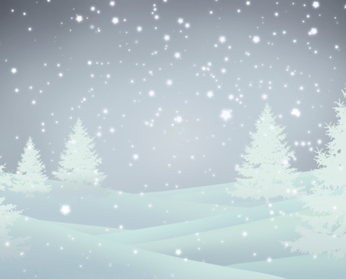 photo booth background design options winter 009